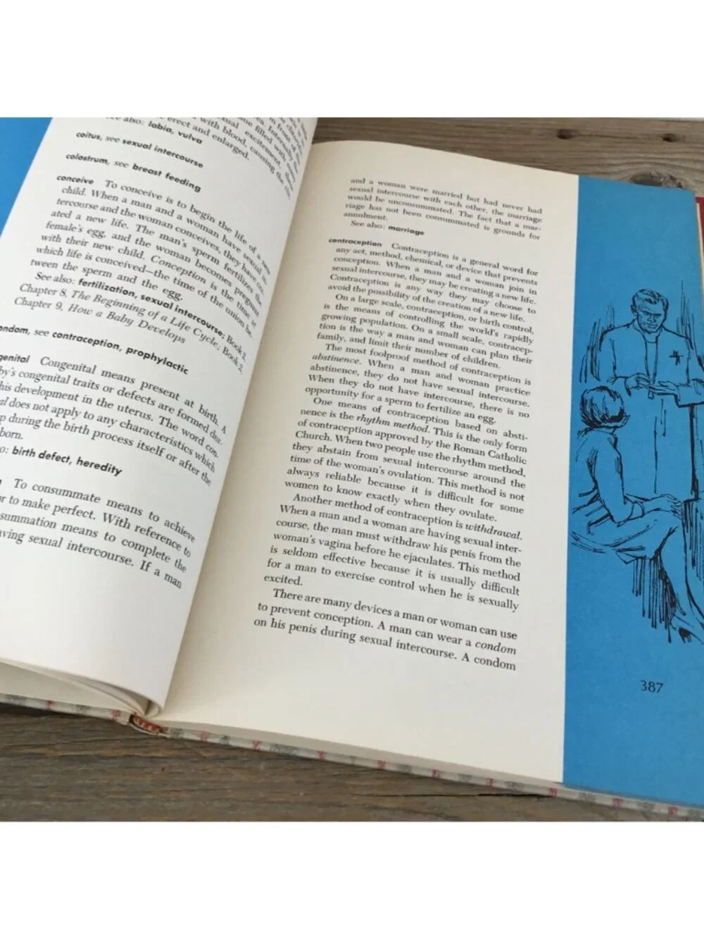 The Life Cycle Library For Young People Vol. 4 Hardcover 1969 Parent & Child